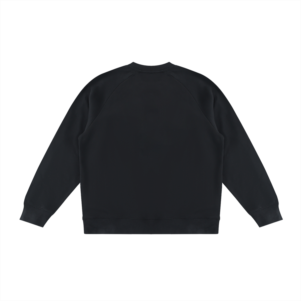 Unisex Color Block Crewneck Sweatshirt